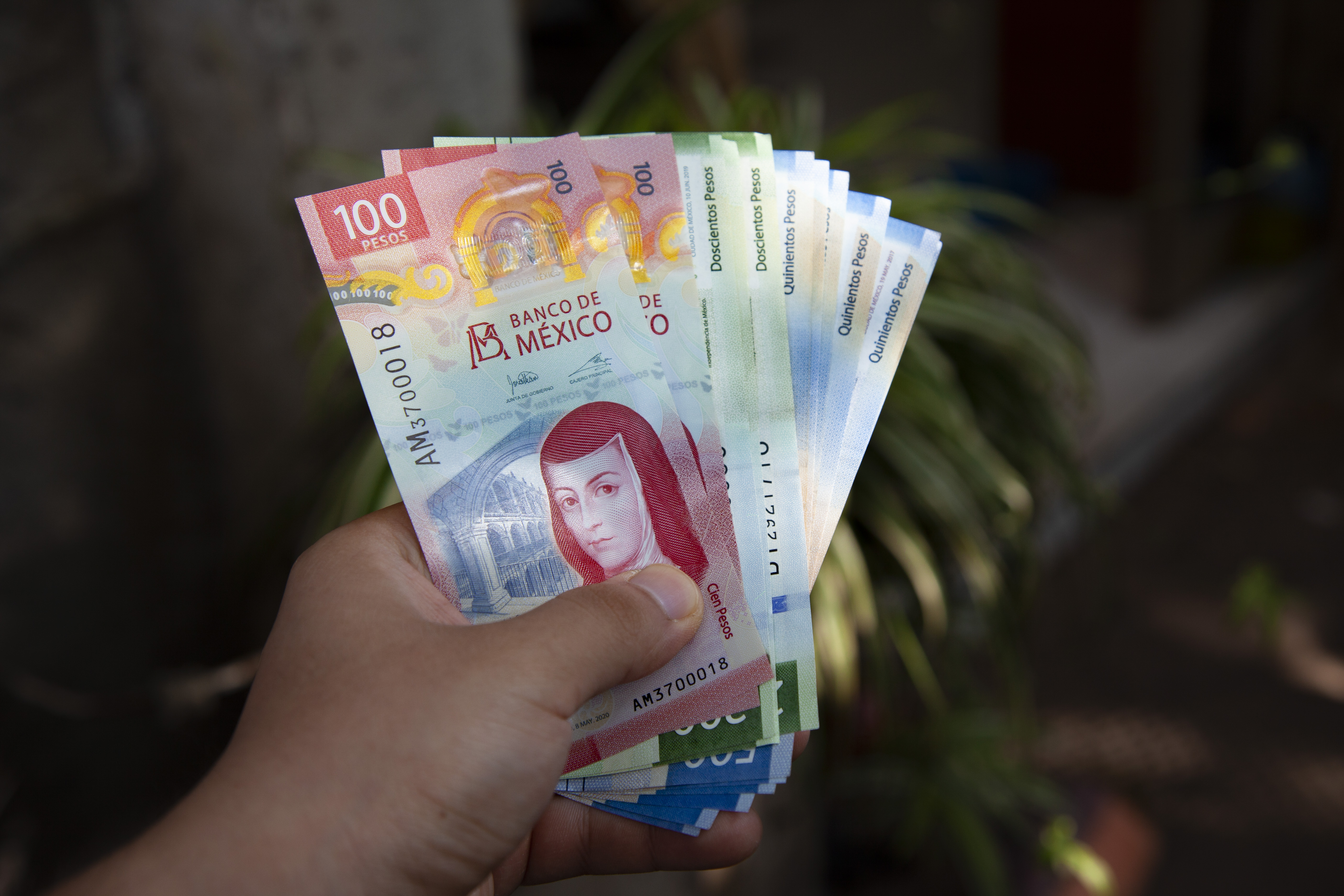 mano-hombre-sosteniendo-nuevos-billetes-peso-mexicano-67afda1d6a9a8345861346.jpg